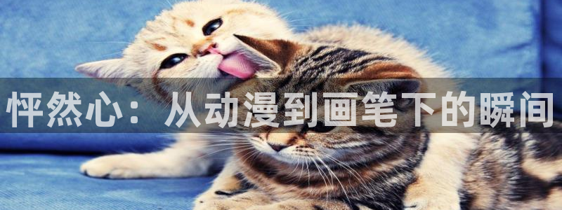 韩漫同人漫画推荐