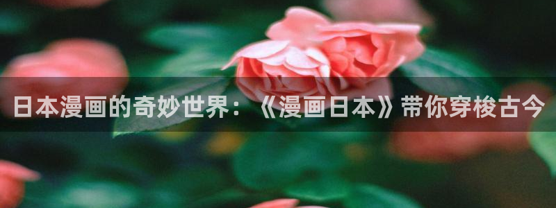韩漫画免费在线观看