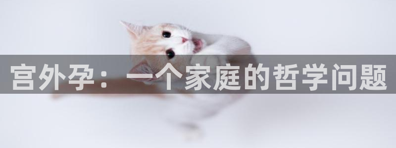 禁韩漫免费观看