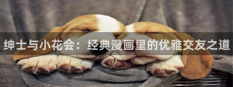 羞羞漫画韩漫官网
