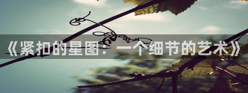 actout双男主漫画韩漫：《紧扣的星图：一个细节的艺术》