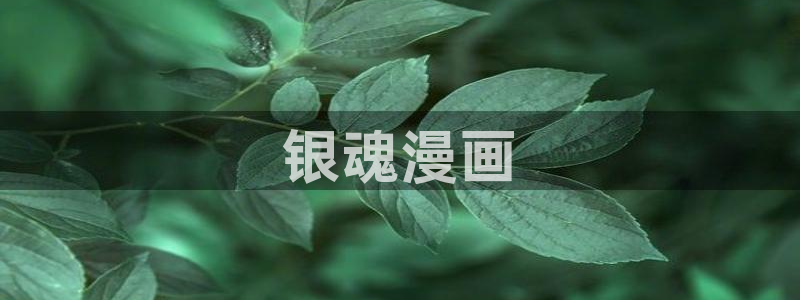 韩漫日漫在线看