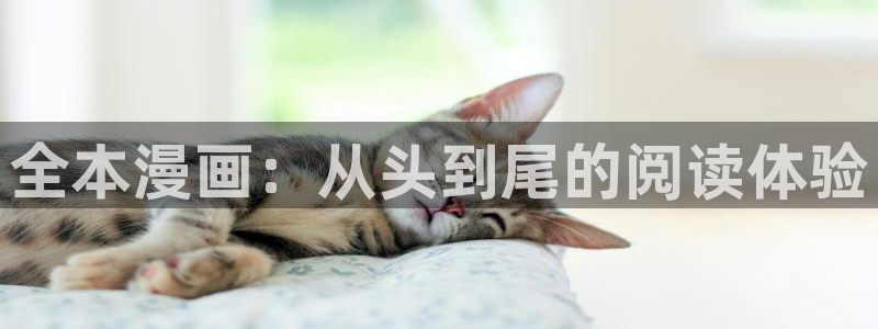 韩漫免费观看动漫入口