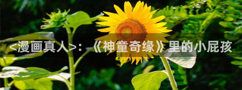 韩漫校园格斗漫画