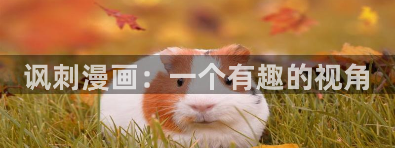 韩漫网址免费看