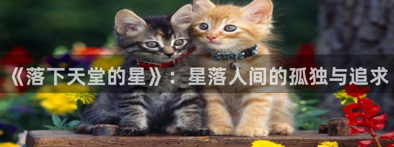 韩漫免费官网入口