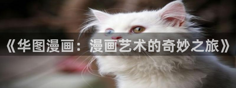 韩漫免费歪歪