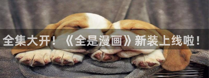 韩漫入口免费看