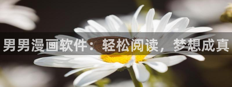 免费韩漫在线观看.：男男漫画软件：轻松阅读，梦想成真